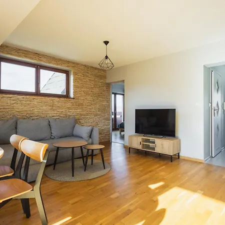 公寓 Widokowy Hello Tatry - Basen & Sauna 考斯赛力克