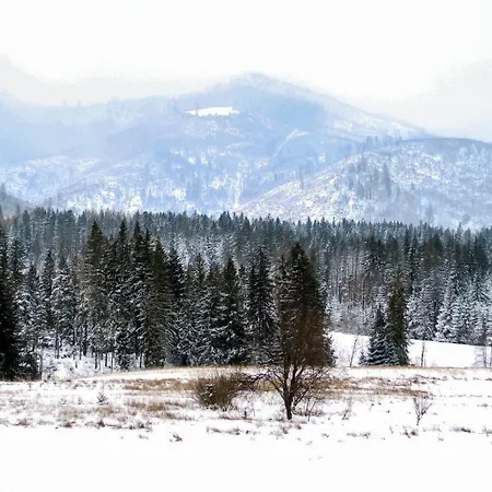 公寓 Widokowy Hello Tatry - Basen & Sauna
